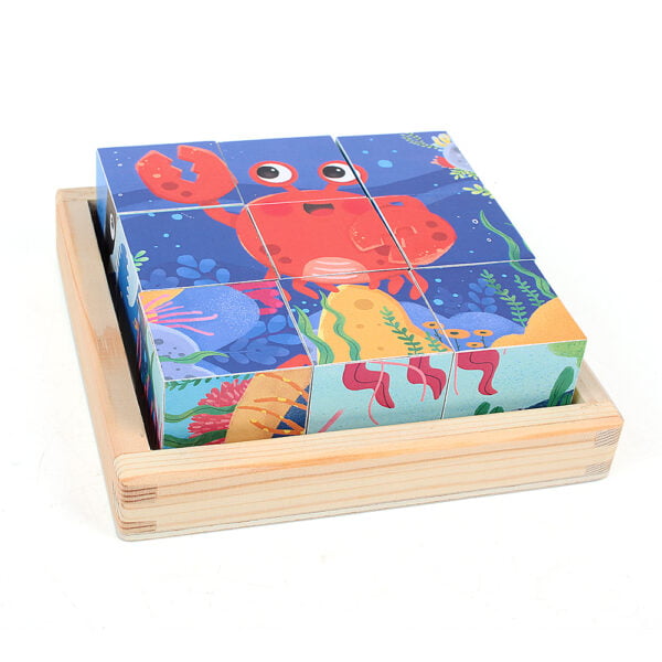 Wooden Blocks Cube Puzzles