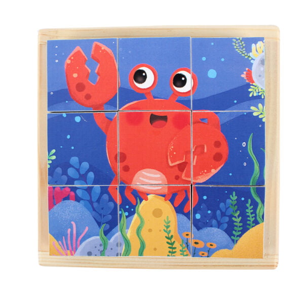 Wooden Blocks Cube Puzzles
