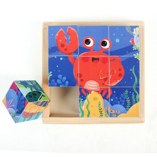 Wooden Blocks Cube Puzzles